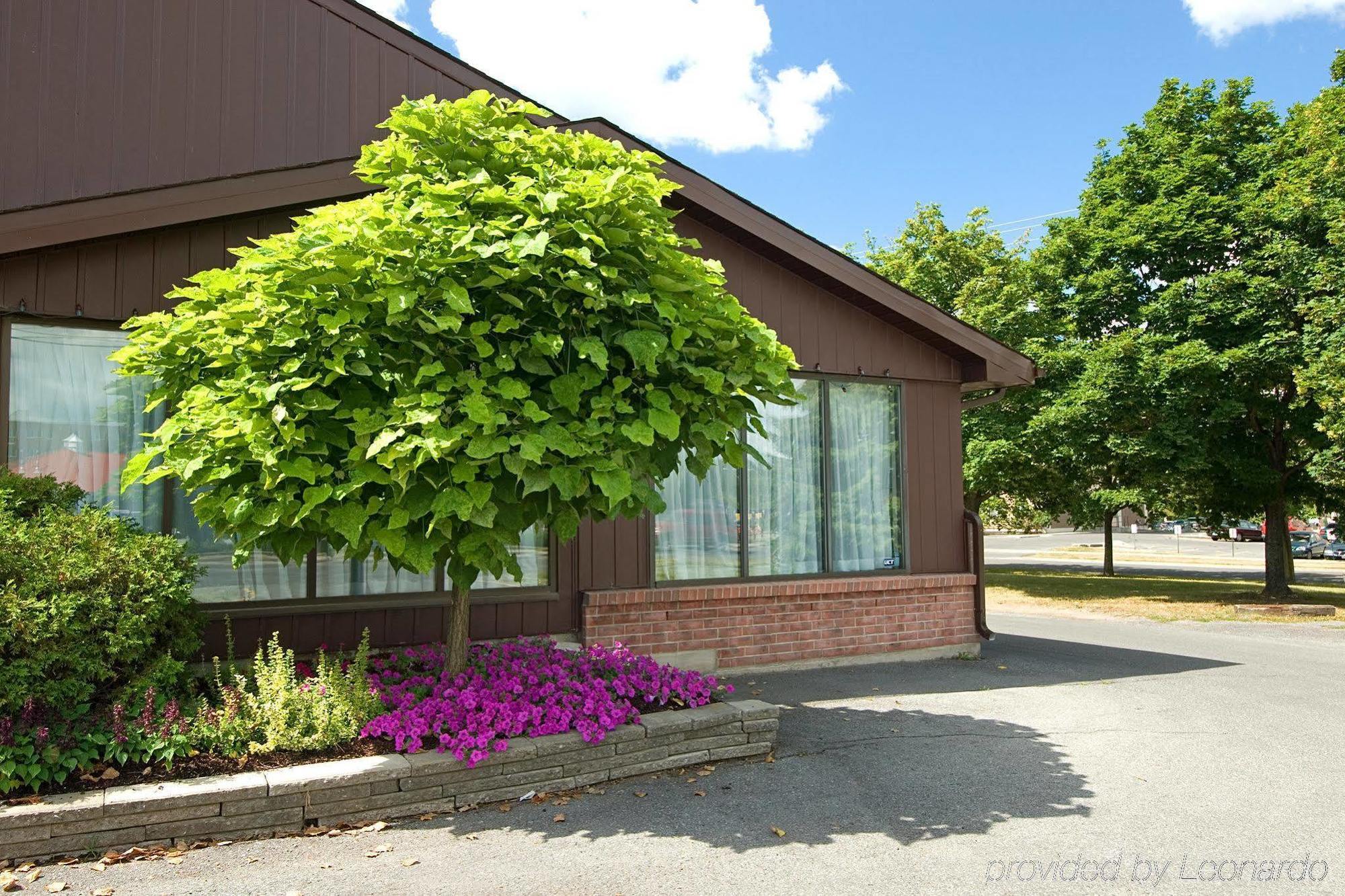 Ramada By Wyndham Kingston Motel Exterior photo